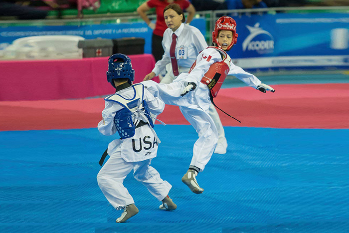 Han's Taekwondo High Performance Team Training