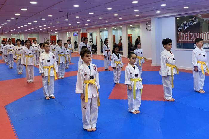 Martial arts schools Richmond Hill